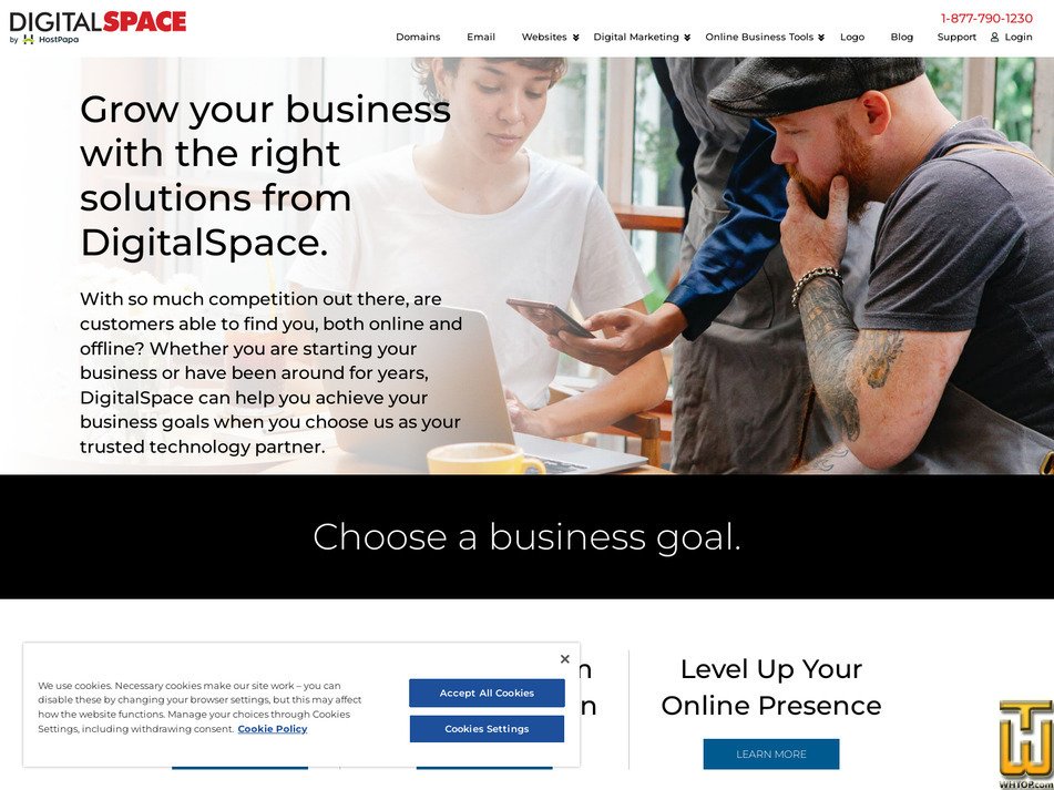 digitalspace.net screenshot