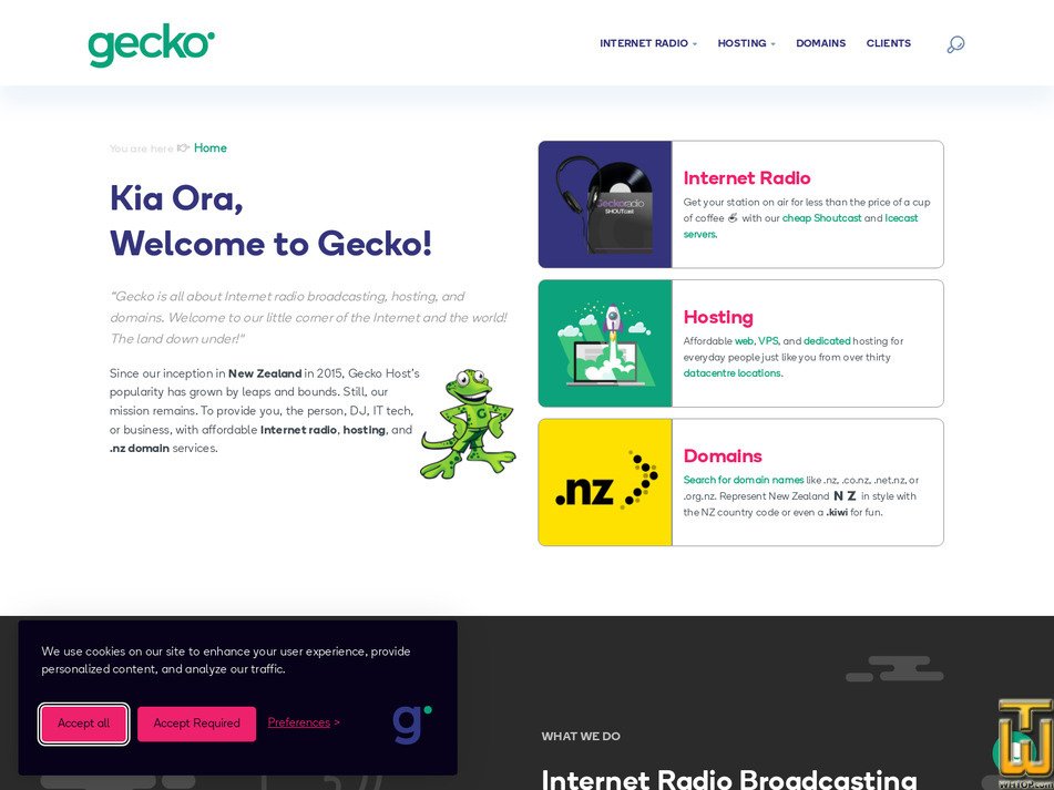 geckohost.nz screenshot