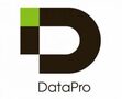 datapro.ru logo
