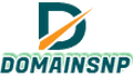 domainsnp.com logo