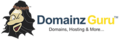 domainzguru.com logo