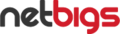 netbigs.com logo