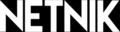 netnik.de logo
