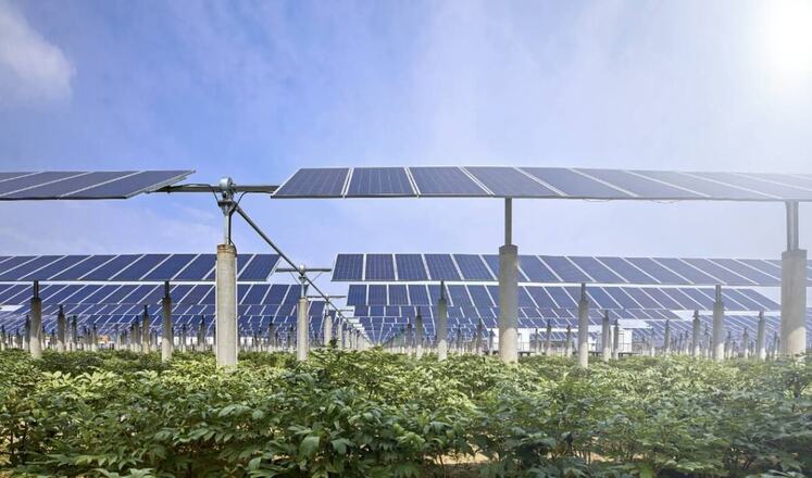 ChillMine, AAAS Energy to Build Solar-Powered Data Center Botswana