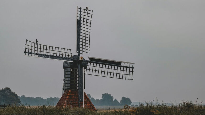 KPN Taps Nokia for 800G FabriQ Network Upgrade in Netherlands