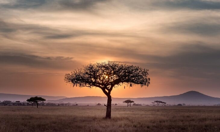 SEACOM Unveils 2.0 Subsea Cable to Boost Africaâs Digital Future