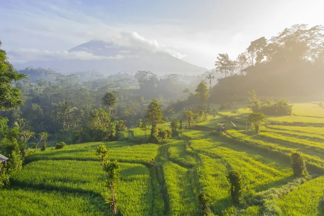 Ciena Powers New ION Cable Between Indonesia and Singapore