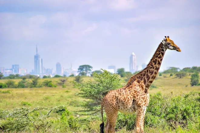 Digital Realty Expands East Africa Footprint with New Nairobi Data Center
