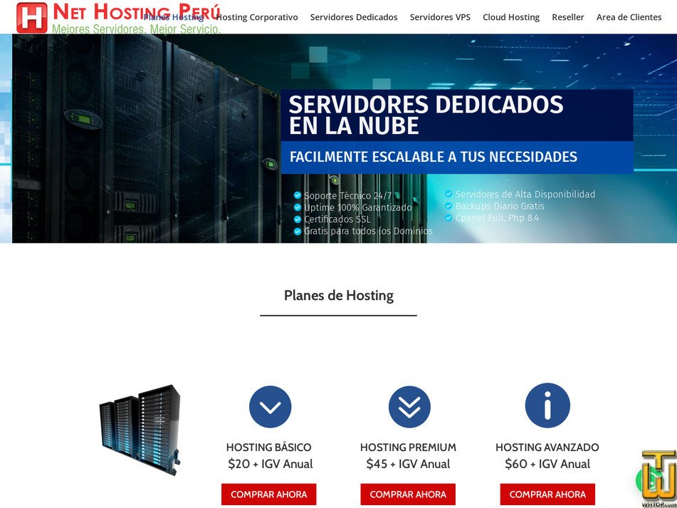 screenshot of Hosting Corporativo 100GB from nethostingperu.com