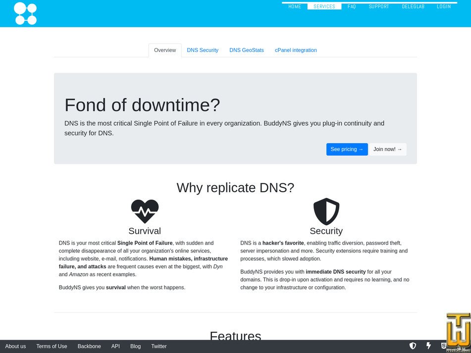 screenshot of Enterprise from buddyns.com