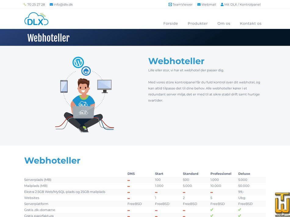 screenshot of Professional from dlx.dk