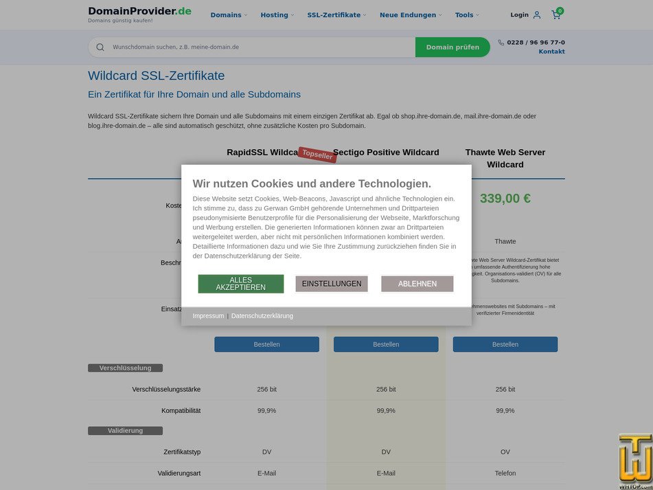 Taken on 11 September, 2026 screenshot of Thawte Web Server Wildcard from domainprovider.de