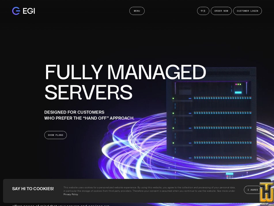 screenshot of Intel E3-1240v2 Fully Managed from egihosting.com