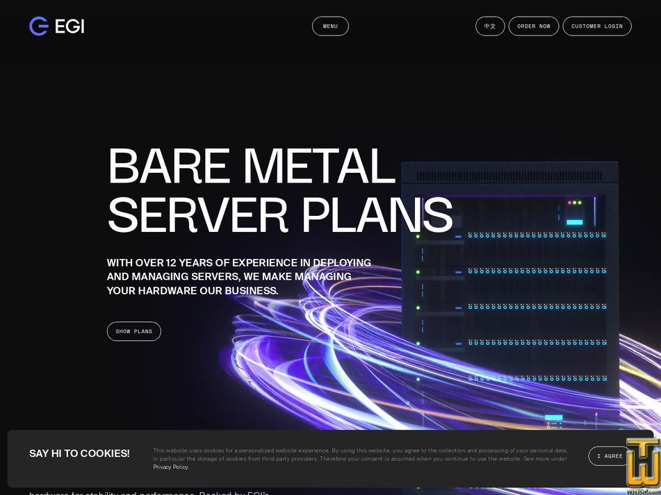 screenshot of Intel Single CPU E5-2620v1 from egihosting.com
