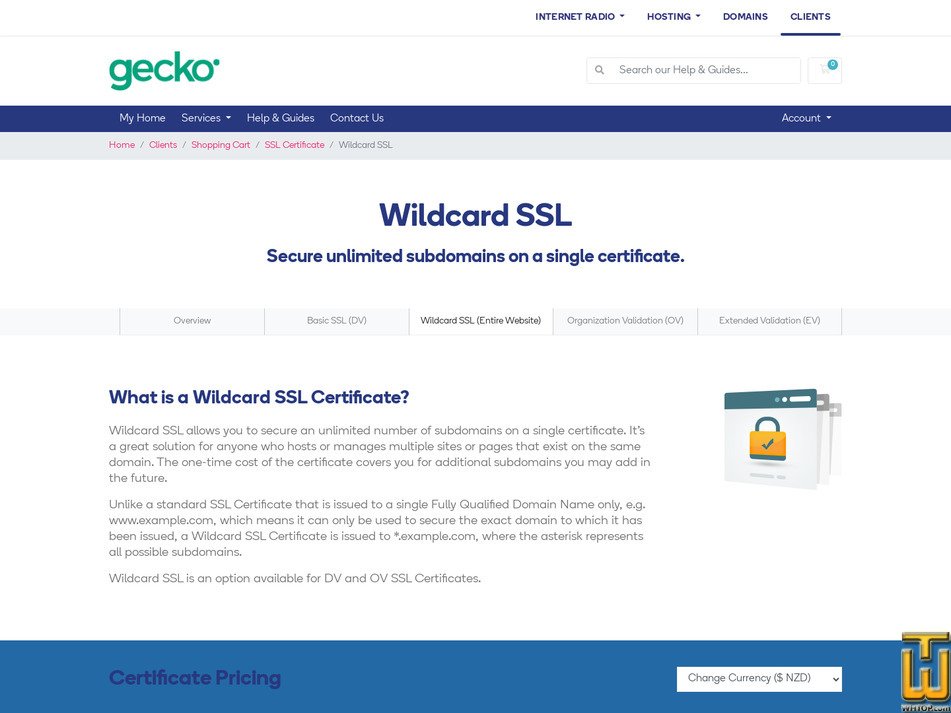Taken on 27 August, 2026 screenshot of RapidSSL Wildcard from geckohost.nz