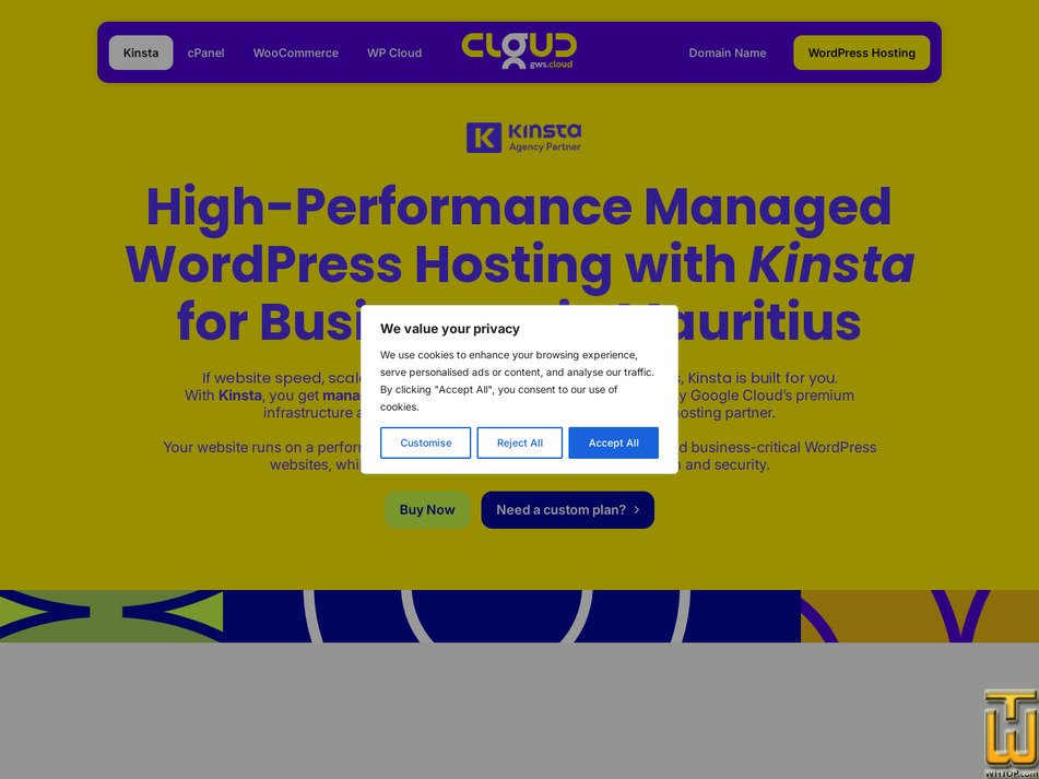 Taken on 3 October, 2026 screenshot of Kinsta Standard from gws-technologies.com