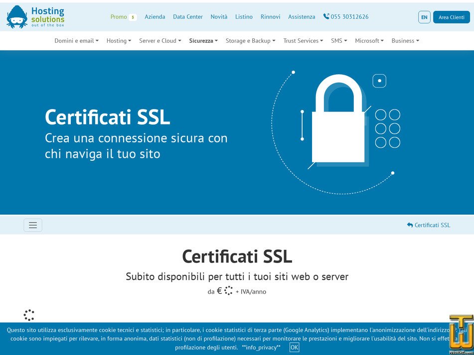screenshot of RapidSSL Wildcard from hostingsolutions.it