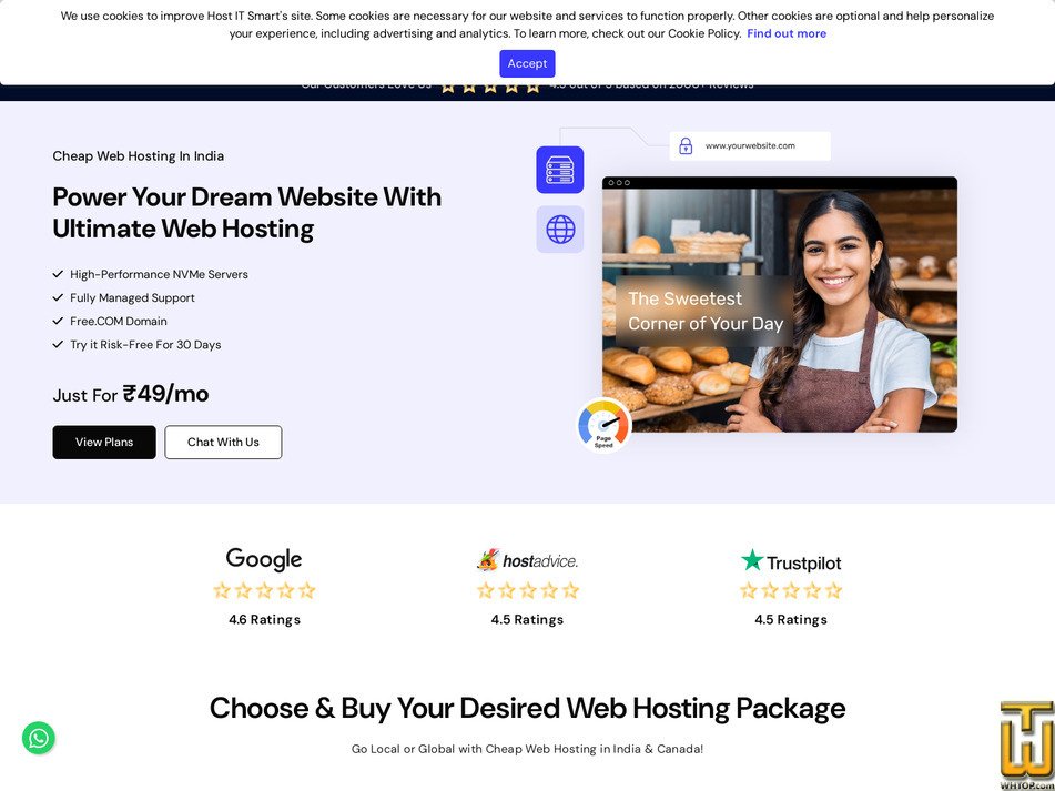 screenshot of PROFESSIONAL from hostitsmart.com