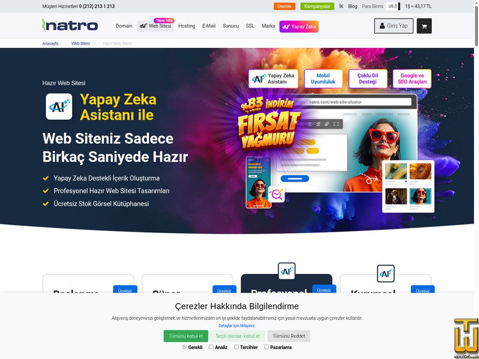 screenshot of Profesyonel from natro.com