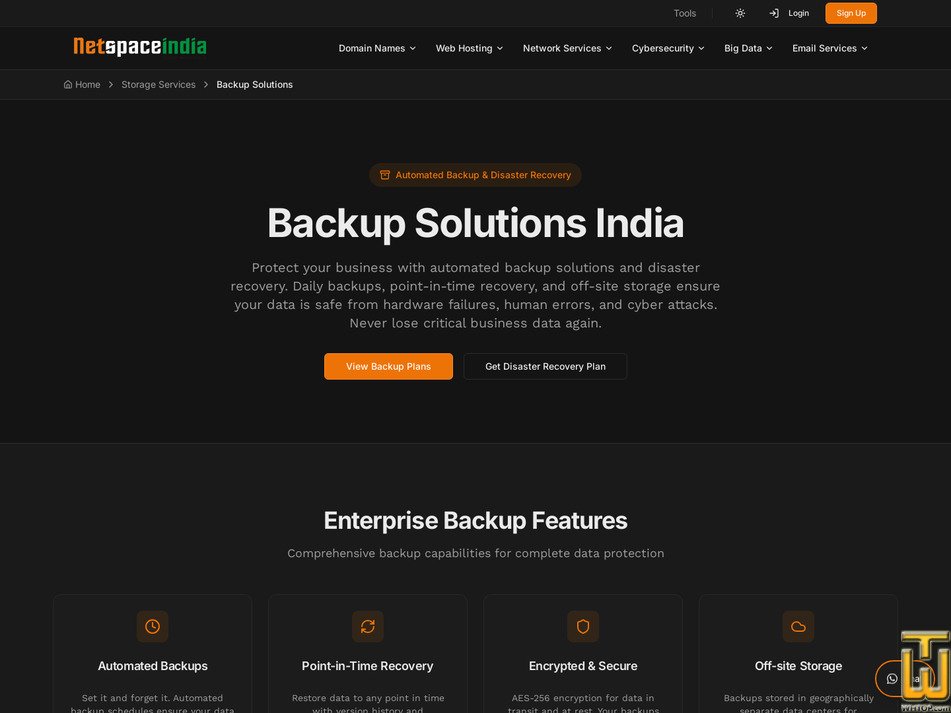 Taken on 24 July, 2026 screenshot of Professional Backup from netspaceindia.com