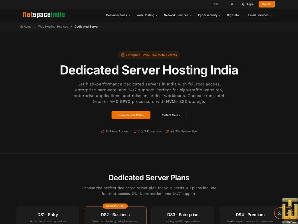 screenshot of DS1 - Entry from netspaceindia.com