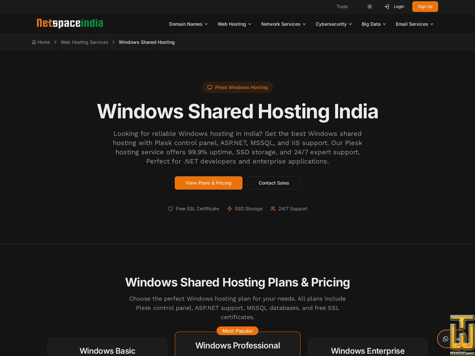 Taken on 24 July, 2026 screenshot of Windows Shared Hosting from netspaceindia.com