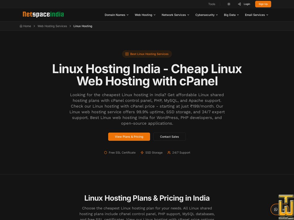 Taken on 24 July, 2026 screenshot of Basic Gold from netspaceindia.com