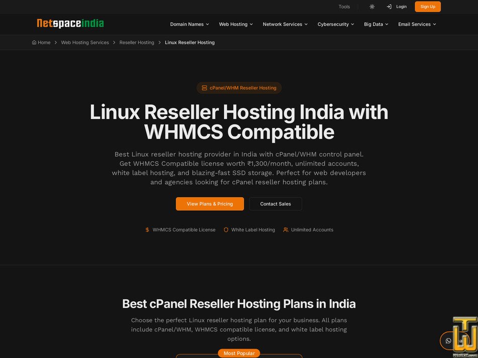 Taken on 24 July, 2026 screenshot of Linux Reseller Hosting from netspaceindia.com