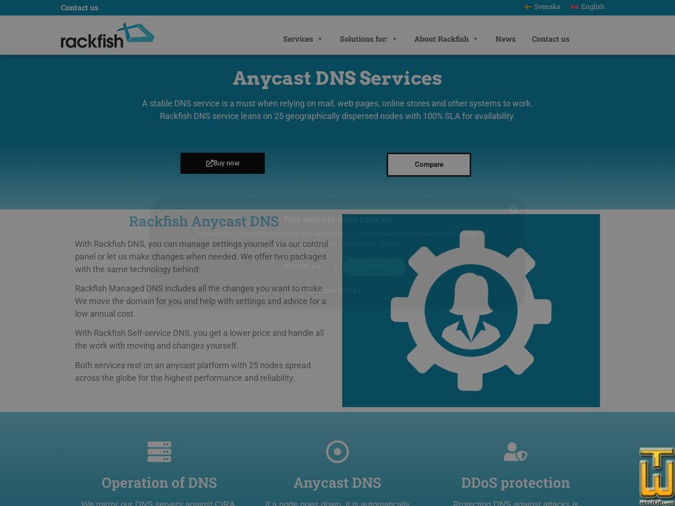 Taken on 27 April, 2026 screenshot of Self-service DNS from rackfish.com