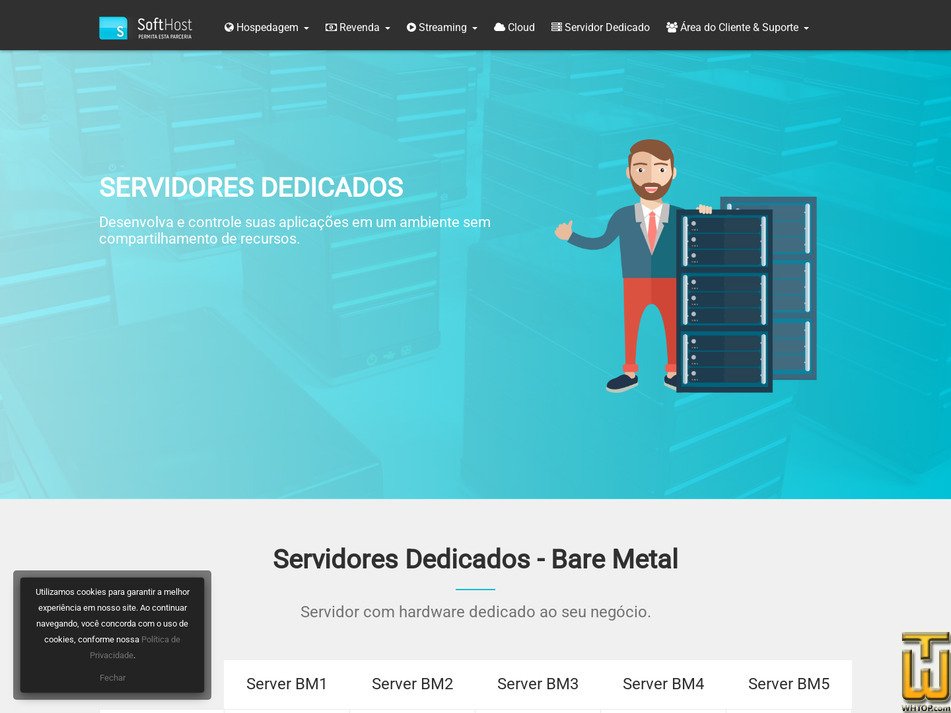 screenshot of Server BM1 from softhost.com.br