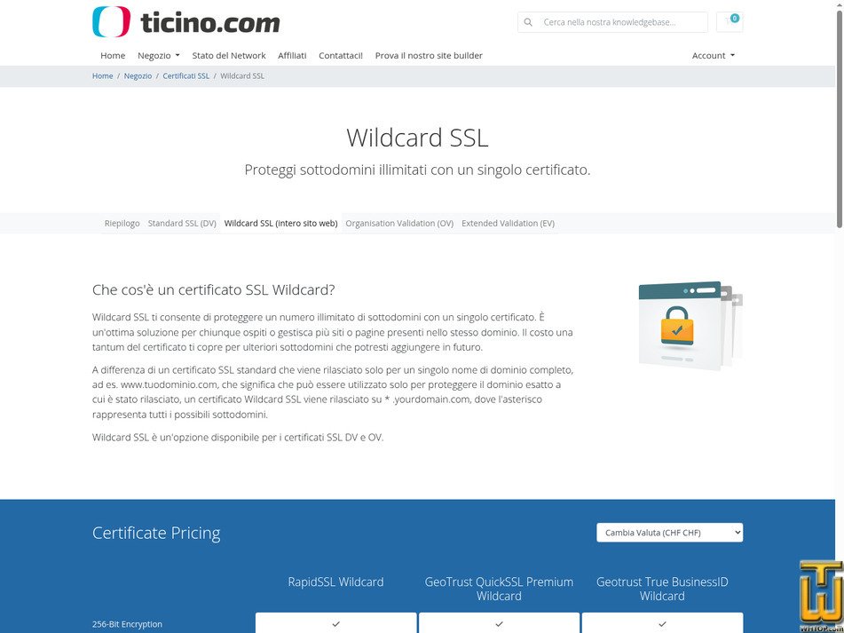 Taken on 17 September, 2026 screenshot of Geotrust True BusinessID Wildcard from ticino.com