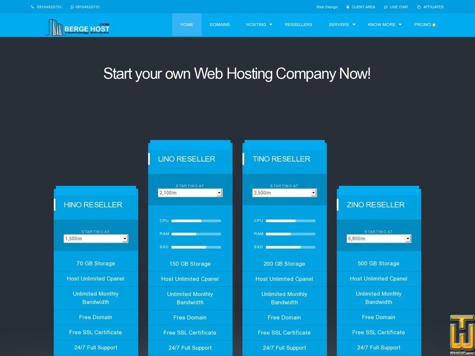 Taken on 26 March, 2019 screenshot of HINO RESELLER from bergehost.com