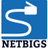 netbigs.com Icon