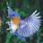 technobird.com 图标